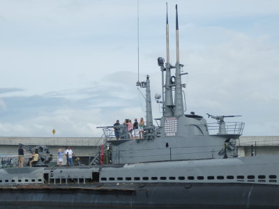 PA210578.JPG