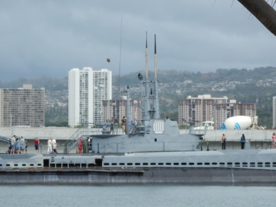 PA210611.JPG