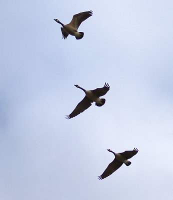 g4/17/118917/3/142300132.iY2DLFv1.jpg