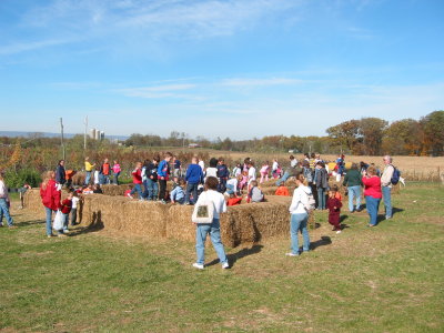 pumpkin_patch