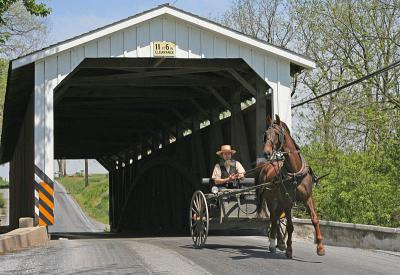 Amish Covered Bridge