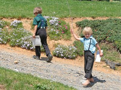 Amish_Brothers