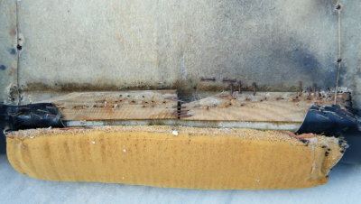 Scheel Racing Bucket Seats Originals - Photo 23
