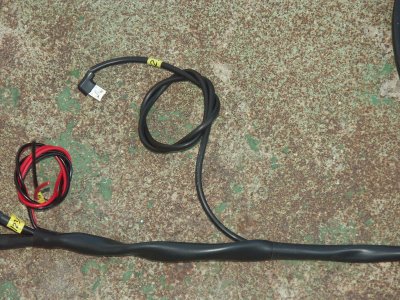 Repro - 914-6 GT Twin Plug Ignition Harness - Photo 5