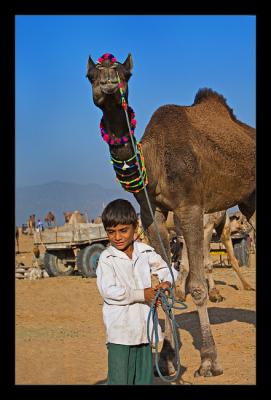 Salim & Camel