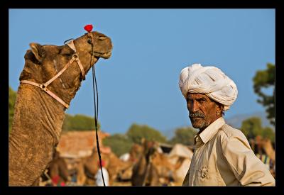 Man Camel 05