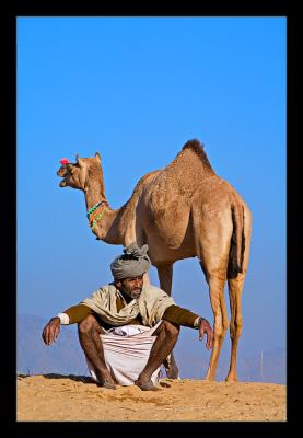 Man Camel 04