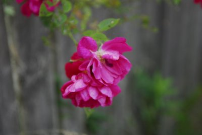 g4/17/33417/3/145431025.1q92BcxY.jpg