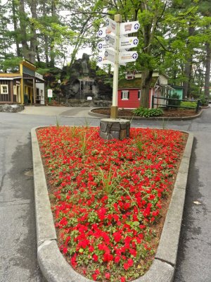 DSC01596.jpg