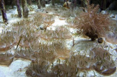 New England Aquarium,Boston