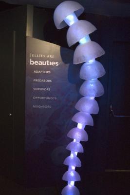 New England Aquarium,Boston