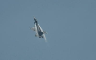 K03_9629.jpg