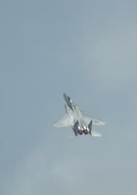 K03_9795.jpg