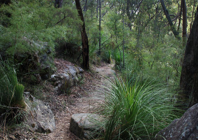 A rocky stretch of the track