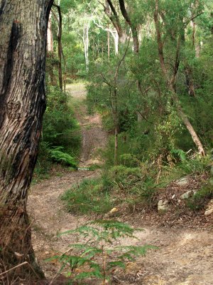 A steep service road