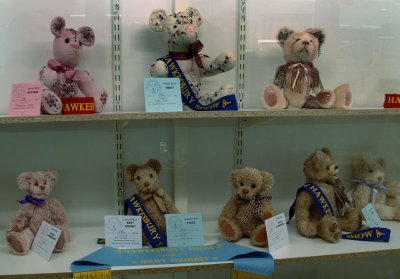 Bears
