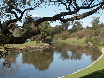 Parramatta River in the Park  1
