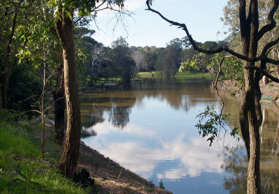 Parramatta River in the Park  2