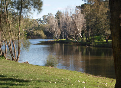 Parramatta River in the Park  3