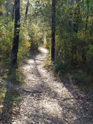 Track to Red Hands Cave