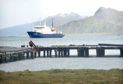 Polar Pioneer in Grytviken Harbour - 3