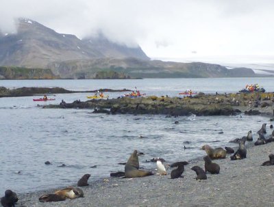 The kayakers circumnavigated the island