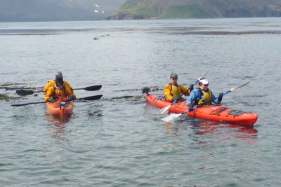Kayakers from the expedition