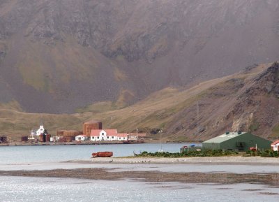 Approaching Grytviken – 2