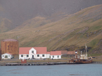 Grytviken Museum 