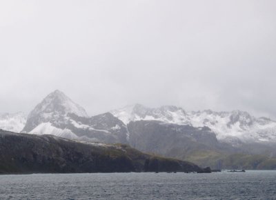 z1144159.jpg