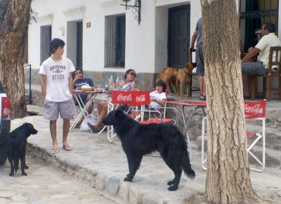 Cachi street scene with dogs