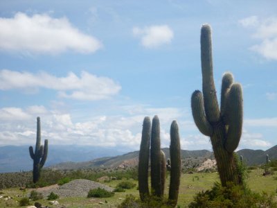 Bus trip to Cachi