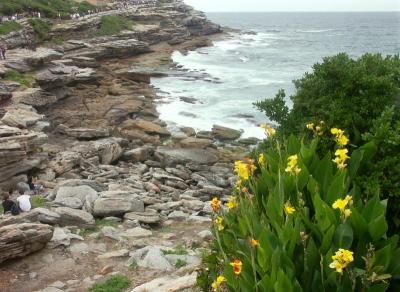 McKenzies Bay, with cannas