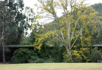 Bridge over Colo River on Putty Road