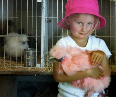 Soft and pink, with feathers (2006)