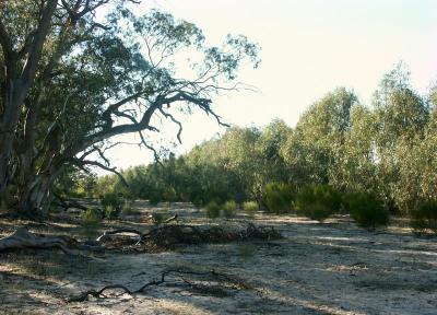 Beach at Lake Mournpall