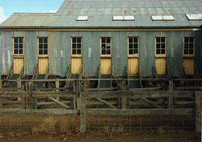 Woolshed detail