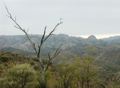 483: View from Coulthards Lookout – 6