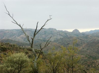 483: View from Coulthards Lookout  6