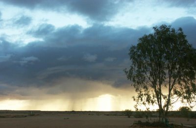 Late afternoon at William Creek