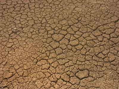 Dry Bed of The Neales