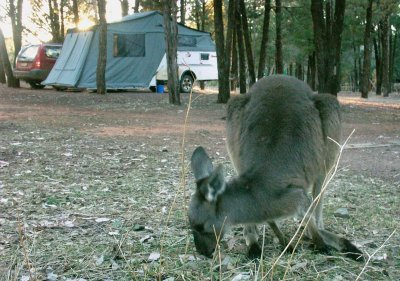 Breakfast time at the campground