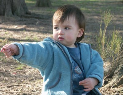 Charlie finding things in the park