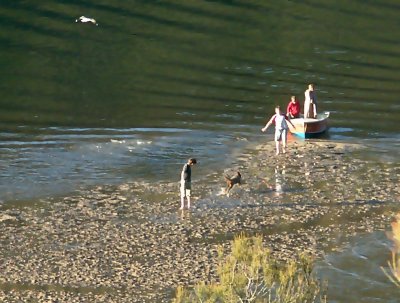 Visit to a mud bank