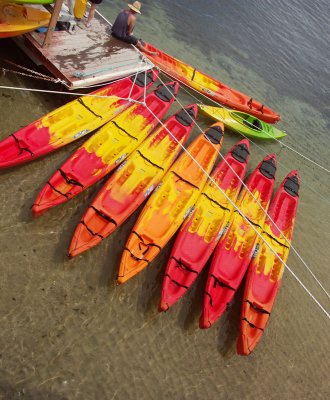 Kayaks for hire