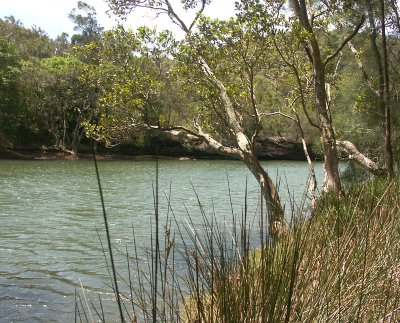 Garigal National Park