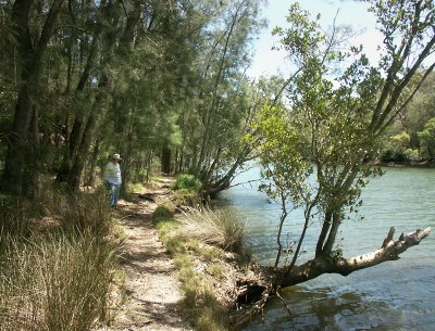 Upstream end of Middle Harbour - 1