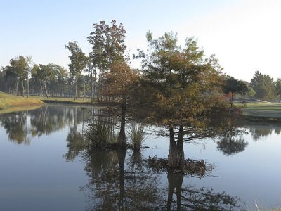 Lake on the golf course in early morning.jpg