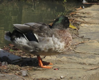 IMG_2001 - Profile full body.jpg
