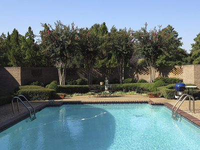 pool wb auto.jpg